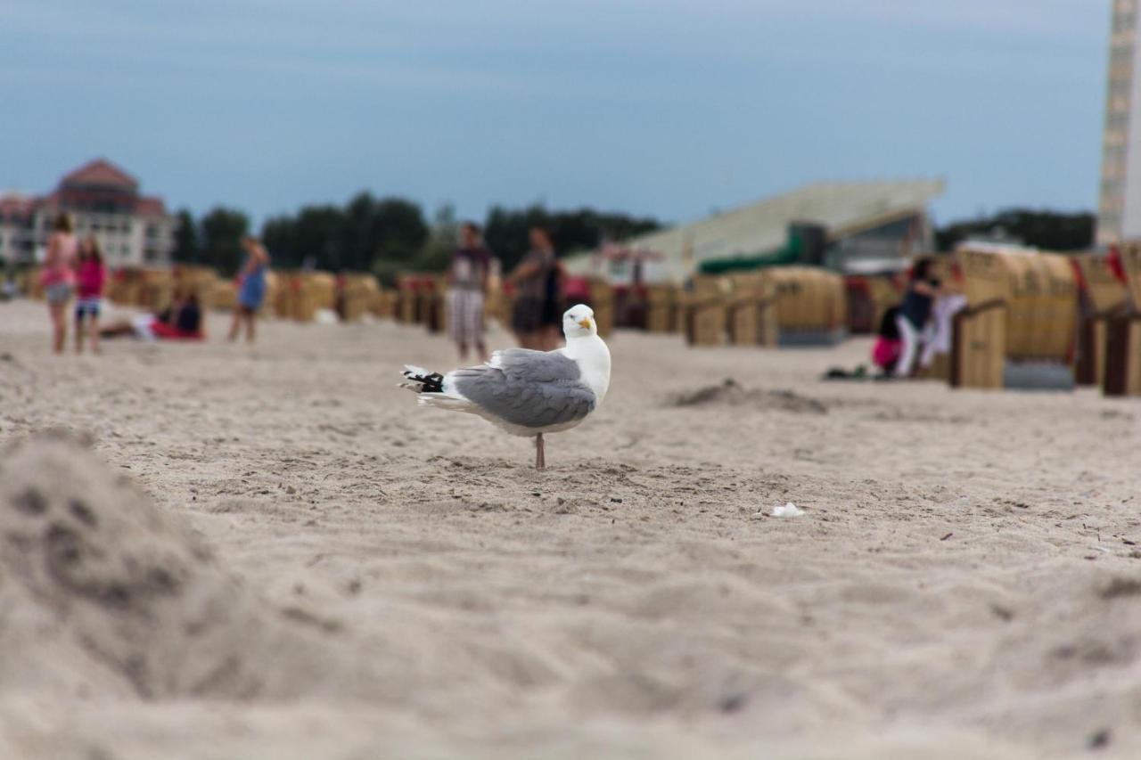 Ferienwohnungen-Neue-Tiefe-Wohnung-Kleiderbuegel Neue Tiefe Fehmarn Экстерьер фото